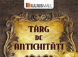 expo timisoara antichitati ed 116