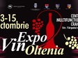 expo vin oltenia