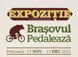 expozi ia de fotografie bra ovul pedaleaza in ceainaria ceai et caetera
