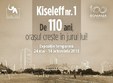 expozi ia kiseleff nr 1 de 110 ani ora ul cre te in jurul lui 