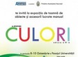 expozitia culori editia a iv a
