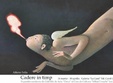 expozitia de pictura cadere in timp
