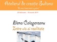 expozitia de pictura intre vis si realitate artist elena calapereanu