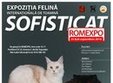 expozitia felina de toamna peste 300 de pisici pregatite de concurs