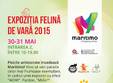 expozitia felina de vara 2015