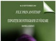 expozitia file prin anotimp 