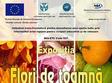 expozitia flori de toamna la iasi