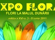 expozitia flori la malul dunarii la galati