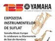 expozitia intrumentelor de suflat