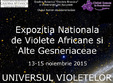 expozitia nationala de violete africane si alte gesneriaceae