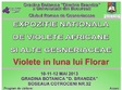 expozitia nationala de violete africane si alte gesneriaceae