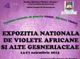 expozitia nationala de violete africane si alte gesneriaceae