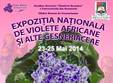 expozitia nationala de violete africane si alte gesneriaceae