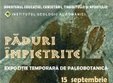 expozitia paduri impietrite la muzeul national de geologie