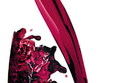 expozitia wine tour oradea