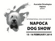 expozitie canina cluj 2014