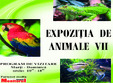 expozitie de animale vii la muzeul vrancea