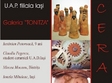 expozitie de ceramica