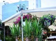 expozitie de flori la ploiesti