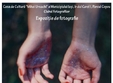 expozitie de fotografie alexandra corneanu oana damir madalina toderascu