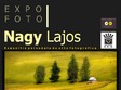 expozitie de fotografie
