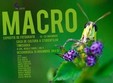expozitie de fotografie macro