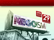 expozitie de graffiti negoism timisoara