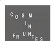 expozitie de pictura cosmin fruntes