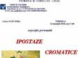 expozitie de pictura ipostaze cromatice