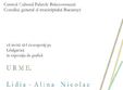 expozitie lidia alina nicolae mogo oaia