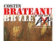 expozitie pictura costin brateanu la axa art
