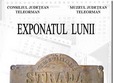 expozitie placa stradala strada sistovului subur stu alexandru 
