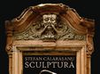 expozitie stefan calarasanu