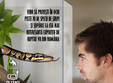 expozitie temporara de reptile vii