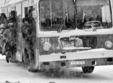 expozitie transportul in comun cu alternative 