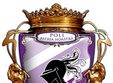 fc timisoara pandurii