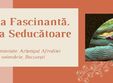 femeia fascinanta femeia seducatoare arhetip feminin