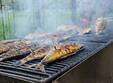 festin cu pe te in parcul ior 25 06 2021 27 06 2021
