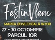 festinvleac