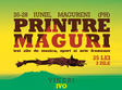 festival printre maguri