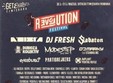 festival revolution la muzeul satului banatean timisoara