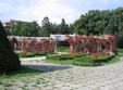 festival ruga timisoarei timisoara
