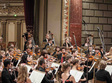 poze festival vara magica wiener jeunesse orchester
