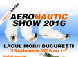 festivalul aeronautic