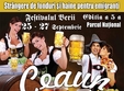 festivalul berii editia v
