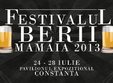festivalul berii mamaia 2013