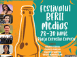 festivalul berii medias