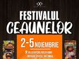 festivalul ceaunelor