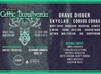 festivalul celtic transilvania 2023