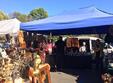 festivalul colec ionarilor de arta i antichita i